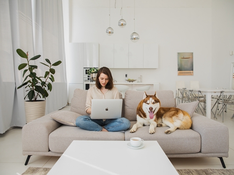 美國注冊公司條件、所需材料、過程、注意事項！