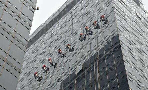 1574234826409848.jpg wsh0013.jpg